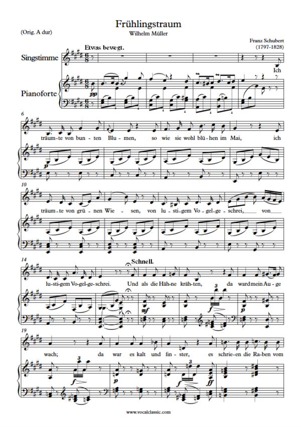 F. Schubert : Frühlingstraum (E Key) PDF – Winterreise (D911) Sheet music