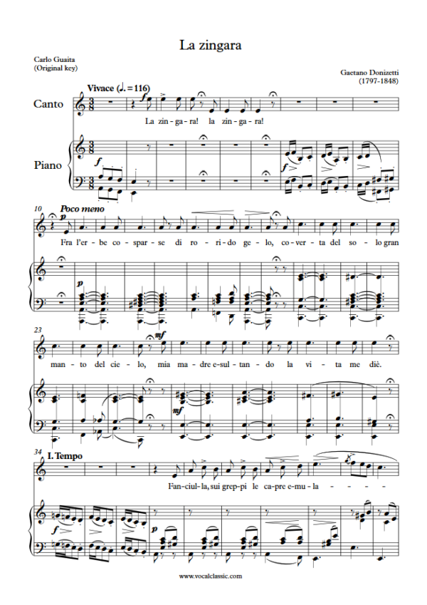 G. Donizetti : La zingara (A minor Key, Original) PDF Sheet music