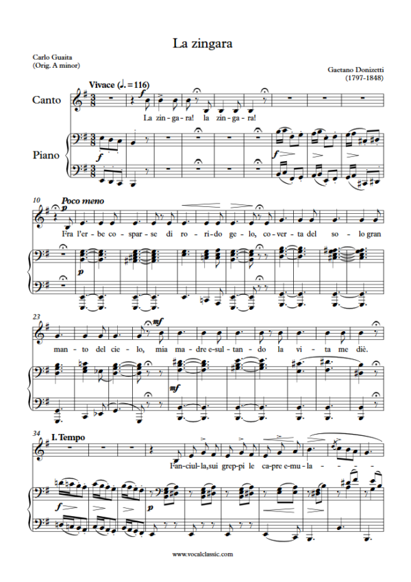 G. Donizetti : La zingara (E minor Key) PDF Sheet music