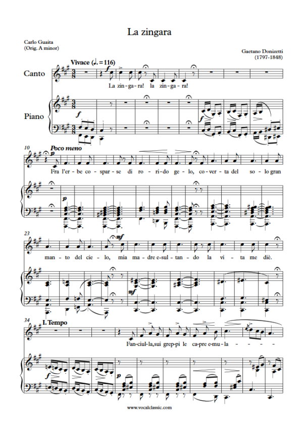 G. Donizetti : La zingara (F sharp minor Key) PDF Sheet music