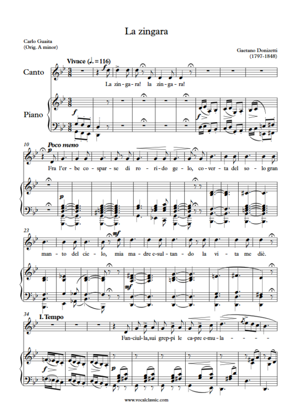 G. Donizetti : La zingara (G minor Key) PDF Sheet music