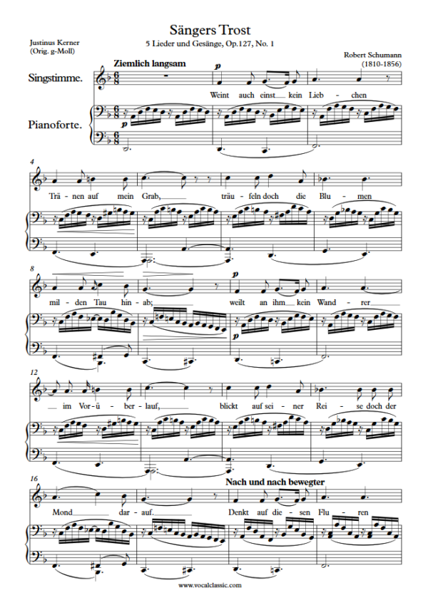 R. Schumann : Sängers Trost (D minor Key) PDF Sheet music