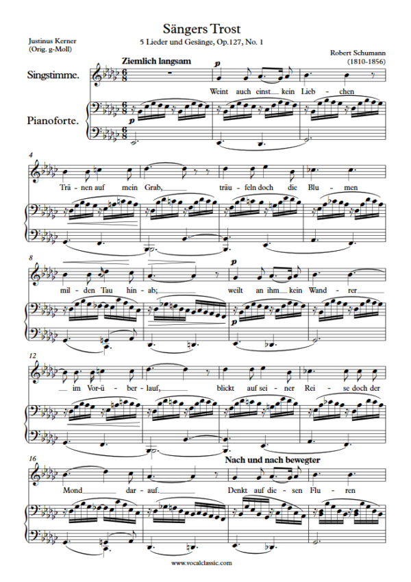 R. Schumann : Sängers Trost (Eb minor Key) PDF Sheet music