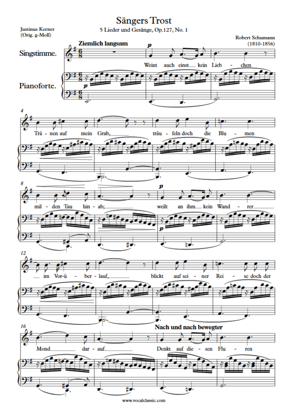 R. Schumann : Sängers Trost (E minor Key) PDF Sheet music